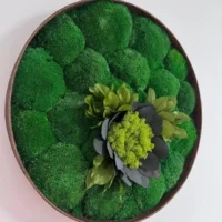 Moos Bild Rund – Blume aus Moos und Blättern