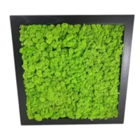 Product Category - Islandmoos Bild