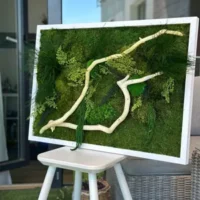 Product Category - Moosbilder mit Holz