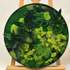 Pflanzen Wandbild Moosmix