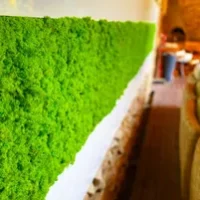 Category Products - Moospaneele