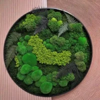 Moosbild Echt: Rund mit Moos & Farn