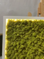 Moosbild mit Islandmoos und LED Beleuchtung