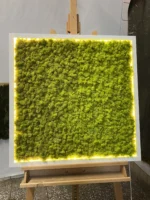 Moosbild mit Islandmoos und LED Beleuchtung