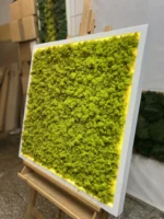 Moosbild mit Islandmoos und LED Beleuchtung