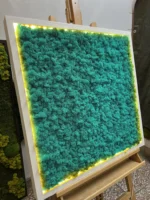 Moosbild mit Islandmoos und LED Beleuchtung