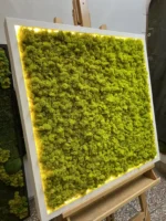 Moosbild mit Islandmoos und LED Beleuchtung