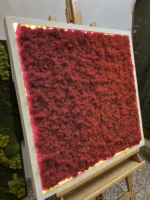 Moosbild mit Islandmoos und LED Beleuchtung