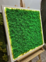 Moosbild mit Islandmoos und LED Beleuchtung