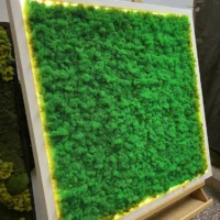 Moosbild mit Islandmoos und LED Beleuchtung