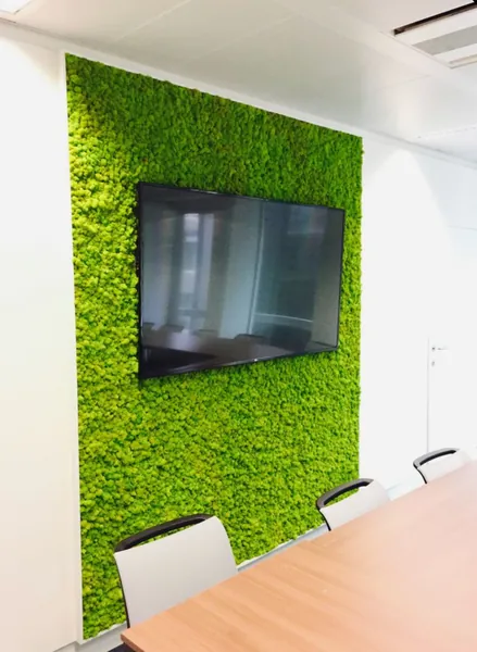 Mooswand im Konferenzraum