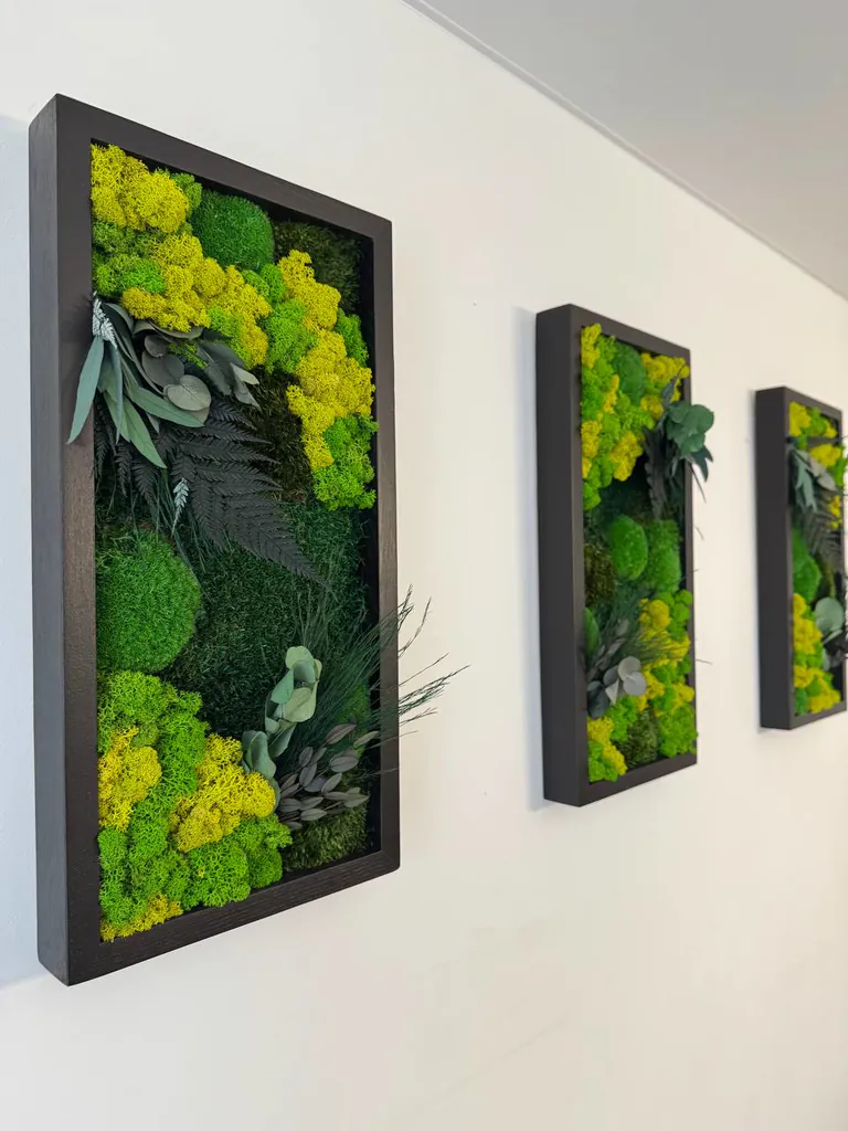 Moss art sets result