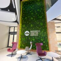 Mooswand im Business Center Košice als Blickfang im modernen Bürodesign