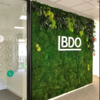 Ekomoss Manufaktur - Mooswand mit Logo