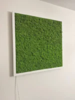 Moosbild mit Islandmoos und LED Beleuchtung
