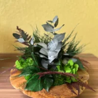 Deko Holzschale: Kugelmoos & Pflanzen