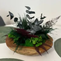 Deko Holzschale: Kugelmoos & Pflanzen