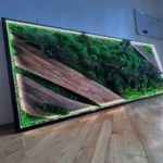 Moosbild mit Holz Akzenten und Pflanzen – Modernes LED Wandbild