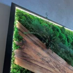 Moosbild mit Holz Akzenten und Pflanzen – Modernes LED Wandbild