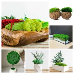 Category products - Tischdeko