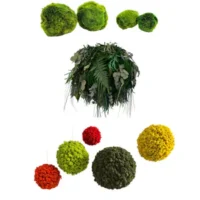Category products: Mooskugeln — natürliche und dekorative Kugeln für Aquarium & Interior
