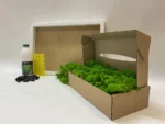 Moosbild selber machen Set - Islandmoos
