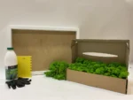 Moosbild selber machen Set - Islandmoos