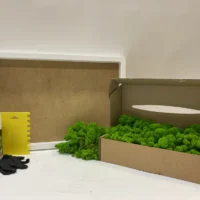 Moosbild selber machen Set - Islandmoos