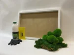 Moosbild selber machen Set – Mix aus Kugelmoos und Flachmoos