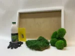 Moosbild selber machen Set – Mix aus Kugelmoos und Flachmoos