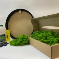 Ekomoss Runde Moosbild selber machen Set – Islandmoos