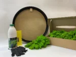 Ekomoss Runde Moosbild selber machen Set – Islandmoos