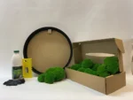 Ekomoss Runde Moosbild selber machen Set – Kugelmoos