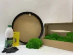 Ekomoss Runde Moosbild selber machen Set – Kugelmoos