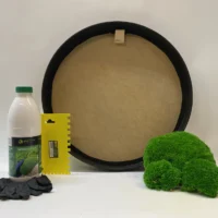 Ekomoss Runde Moosbild selber machen Set – Kugelmoos