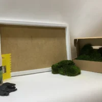 Moosbild selber machen Set – Provence Moos