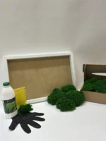 Moosbild selber machen Set – Kugelmoos