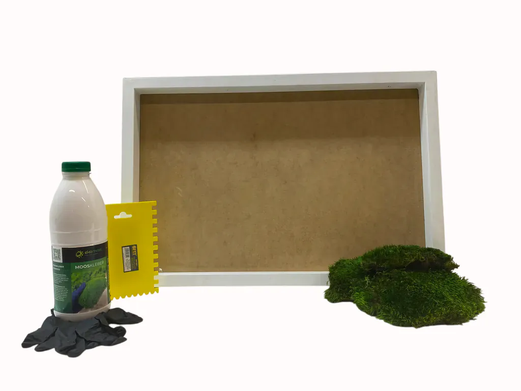 Moosbild selber machen Set – Provence Moos