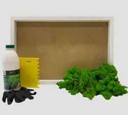 Category Products - DIY Moosbild Set