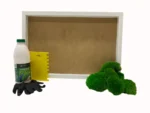 Moosbild selber machen Set – Kugelmoos