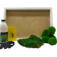 Moosbild selber machen Set – Mix aus Kugelmoos und Flachmoos