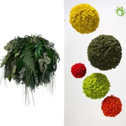 Category products - Mooskugel Deko