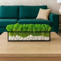 Moos im Glas mit weißen Steinen – Waldgeometrie