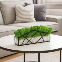 Moos im Glas mit weißen Steinen – Grüner Garten