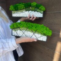 Moos im Glas mit weißen Steinen