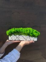 Moos im Glas mit weißen Steinen – Grüner Garten