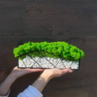 Moos im Glas mit weißen Steinen – Grüner Garten