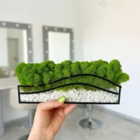 Mosarium – Farbenoase: Moos im Glas mit weißen Steinen