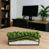 Moos im Glas mit weißen Steinen – Farbenoase