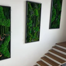 3er Moosbilder Set: Kugelmoos Dschungel-Kaskade